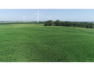 Bureau County, Illinois farmland - LAND AND WIND RIGHTS AUCTION - 337+/- ACRES IN 4 TRACTS IN BUREAU COUNTY, ILLINOIS